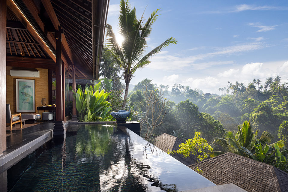 jungle-suite-3